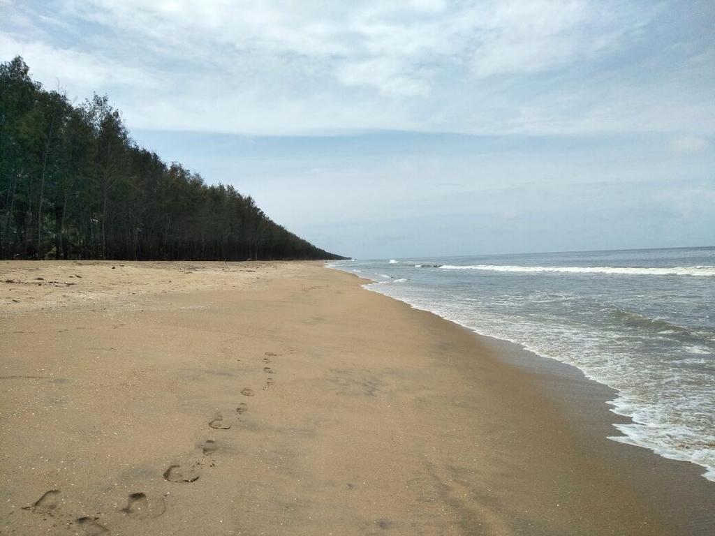 Cherai Beach Retreat Exterior photo